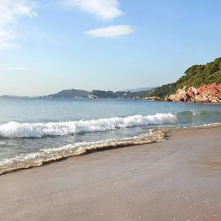 Hébergement de vacances Avec Piscine Vue Mer Le Pradet