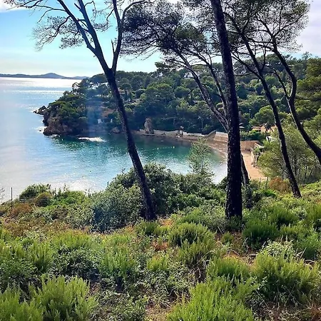 Avec Piscine Vue Mer Hébergement de vacances Le Pradet